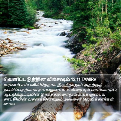 வெளிப்படுத்தின விசேஷம் 12:11 TAMIRV Bible Verse Image
