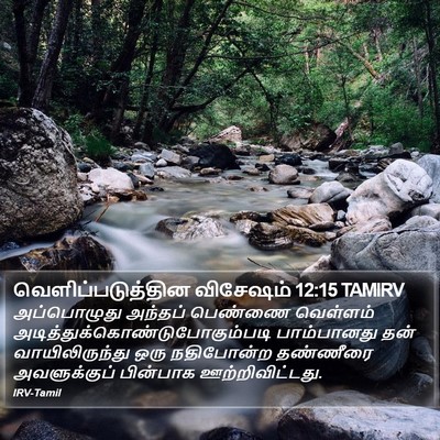 வெளிப்படுத்தின விசேஷம் 12:15 TAMIRV Bible Verse Image