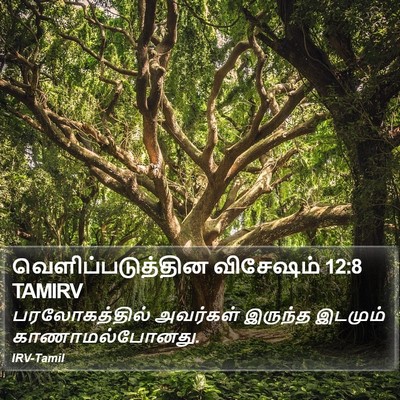 வெளிப்படுத்தின விசேஷம் 12:8 TAMIRV Bible Verse Image