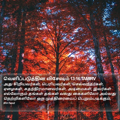 வெளிப்படுத்தின விசேஷம் 13:16 TAMIRV Bible Verse Image