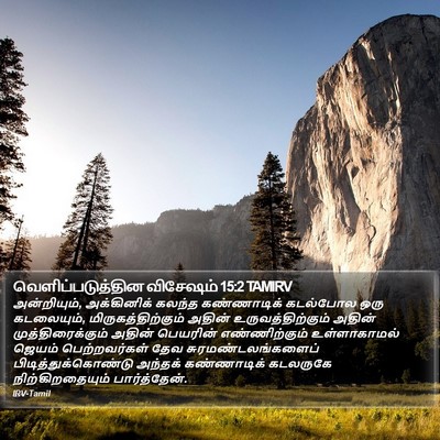 வெளிப்படுத்தின விசேஷம் 15:2 TAMIRV Bible Verse Image