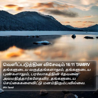வெளிப்படுத்தின விசேஷம் 16:11 TAMIRV Bible Verse Image
