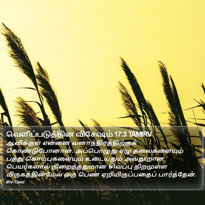 வெளிப்படுத்தின விசேஷம் 17:3 TAMIRV Bible Verse Image