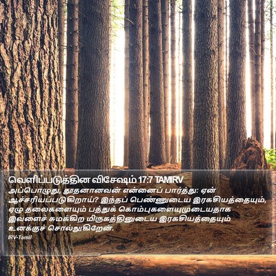 வெளிப்படுத்தின விசேஷம் 17:7 TAMIRV Bible Verse Image