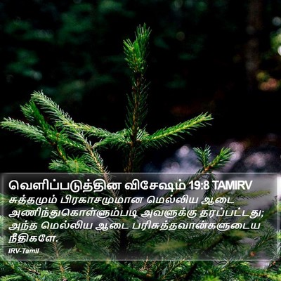 வெளிப்படுத்தின விசேஷம் 19:8 TAMIRV Bible Verse Image