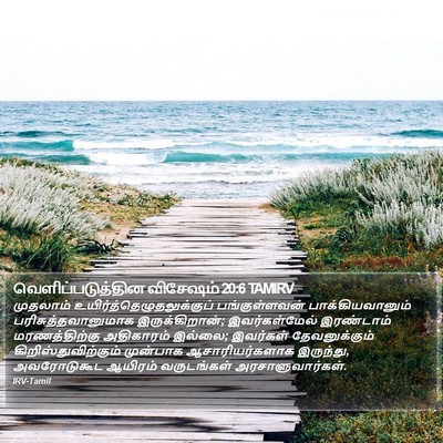 வெளிப்படுத்தின விசேஷம் 20:6 TAMIRV Bible Verse Image