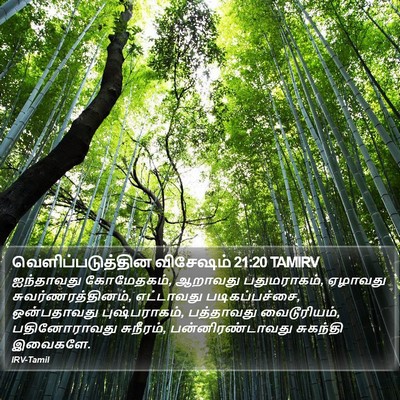 வெளிப்படுத்தின விசேஷம் 21:20 TAMIRV Bible Verse Image