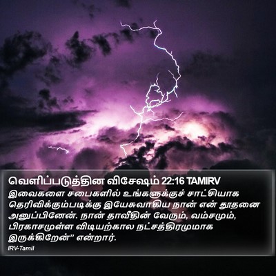 வெளிப்படுத்தின விசேஷம் 22:16 TAMIRV Bible Verse Image