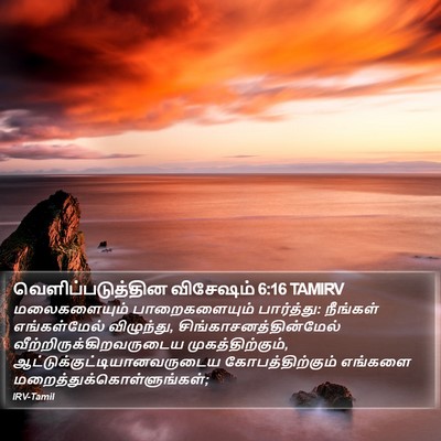 வெளிப்படுத்தின விசேஷம் 6:16 TAMIRV Bible Verse Image