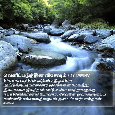 வெளிப்படுத்தின விசேஷம் 7:17 TAMIRV Bible Verse Image