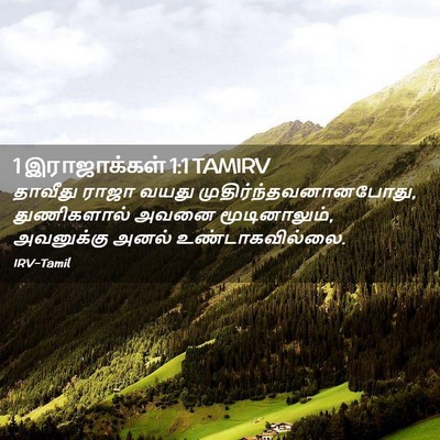 Picture 02 - 1 இராஜாக்கள் 1:1 TAMIRV - தாவீது ராஜா வயது - Bible Verse Picture