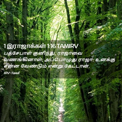 Picture 02 - 1 இராஜாக்கள் 1:16 TAMIRV - பத்சேபாள் - Bible Verse Picture