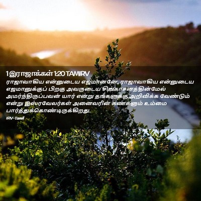 Picture 02 - 1 இராஜாக்கள் 1:20 TAMIRV - ராஜாவாகிய - Bible Verse Picture