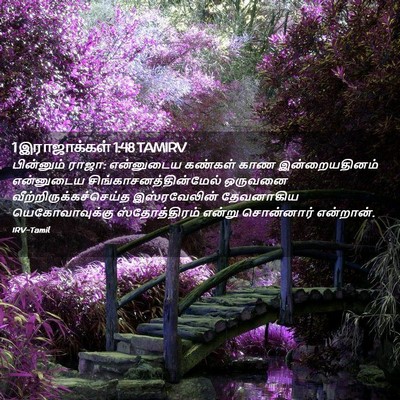 Picture 02 - 1 இராஜாக்கள் 1:48 TAMIRV - பின்னும் ராஜா: - Bible Verse Picture