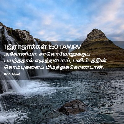 Picture 02 - 1 இராஜாக்கள் 1:50 TAMIRV - அதோனியா, - Bible Verse Picture