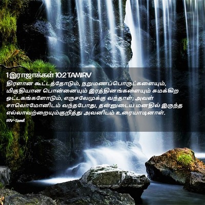 Picture 02 - 1 இராஜாக்கள் 10:2 TAMIRV - திரளான - Bible Verse Picture