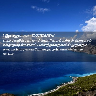 Picture 02 - 1 இராஜாக்கள் 10:27 TAMIRV - எருசலேமிலே ராஜா - Bible Verse Picture