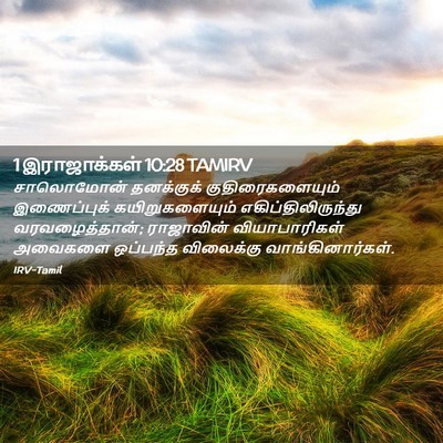 Picture 02 - 1 இராஜாக்கள் 10:28 TAMIRV - சாலொமோன் தனக்குக் - Bible Verse Picture