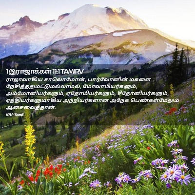 Picture 02 - 1 இராஜாக்கள் 11:1 TAMIRV - ராஜாவாகிய - Bible Verse Picture