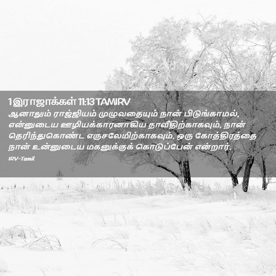 Picture 02 - 1 இராஜாக்கள் 11:13 TAMIRV - ஆனாலும் ராஜ்ஜியம் - Bible Verse Picture
