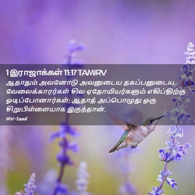 Picture 02 - 1 இராஜாக்கள் 11:17 TAMIRV - ஆதாதும் அவனோடு - Bible Verse Picture
