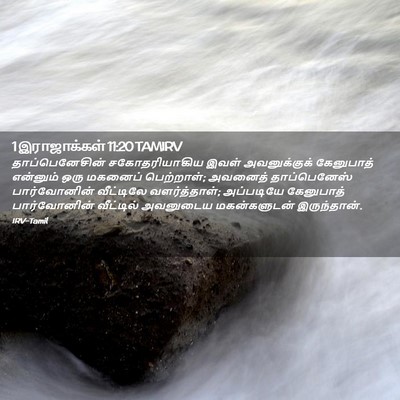 Picture 02 - 1 இராஜாக்கள் 11:20 TAMIRV - தாப்பெனேசின் - Bible Verse Picture