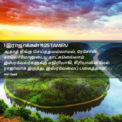 Picture 02 - 1 இராஜாக்கள் 11:25 TAMIRV - ஆதாத் தீங்கு - Bible Verse Picture