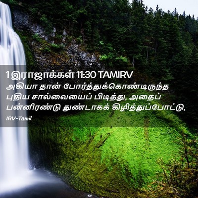Picture 02 - 1 இராஜாக்கள் 11:30 TAMIRV - அகியா தான் - Bible Verse Picture