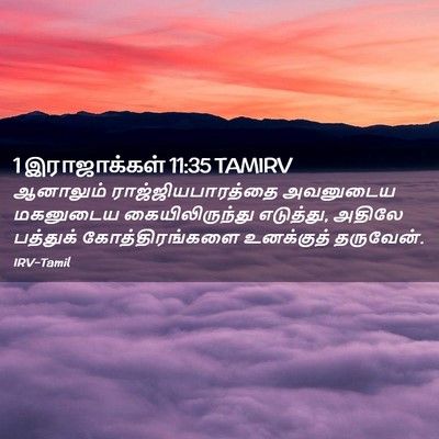 Picture 02 - 1 இராஜாக்கள் 11:35 TAMIRV - ஆனாலும் - Bible Verse Picture