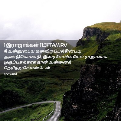 Picture 02 - 1 இராஜாக்கள் 11:37 TAMIRV - நீ உன்னுடைய - Bible Verse Picture