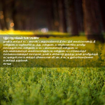 Picture 02 - 1 இராஜாக்கள் 11:38 TAMIRV - நான் உனக்குக் - Bible Verse Picture