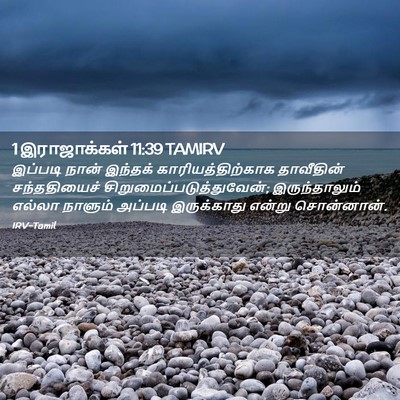 Picture 02 - 1 இராஜாக்கள் 11:39 TAMIRV - இப்படி நான் - Bible Verse Picture