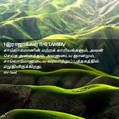 Picture 02 - 1 இராஜாக்கள் 11:41 TAMIRV - சாலொமோனின் மற்றக் - Bible Verse Picture
