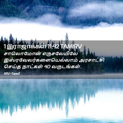 Picture 02 - 1 இராஜாக்கள் 11:42 TAMIRV - சாலொமோன் - Bible Verse Picture