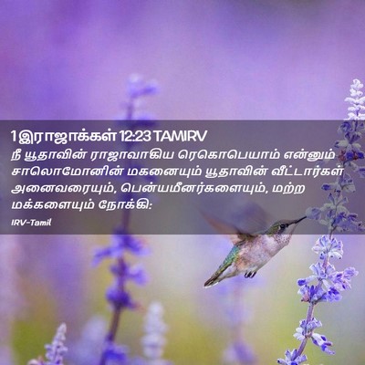 Picture 02 - 1 இராஜாக்கள் 12:23 TAMIRV - நீ யூதாவின் - Bible Verse Picture