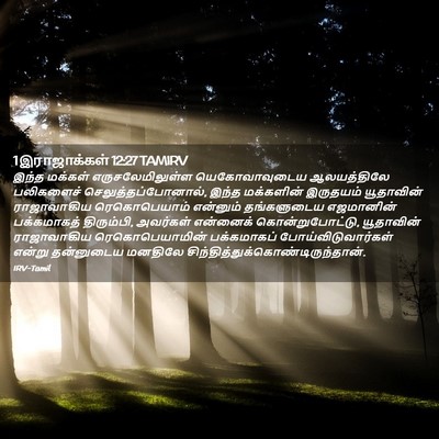 Picture 02 - 1 இராஜாக்கள் 12:27 TAMIRV - இந்த மக்கள் - Bible Verse Picture