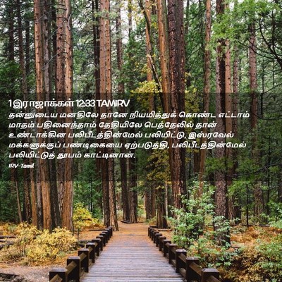 Picture 02 - 1 இராஜாக்கள் 12:33 TAMIRV - தன்னுடைய மனதிலே - Bible Verse Picture