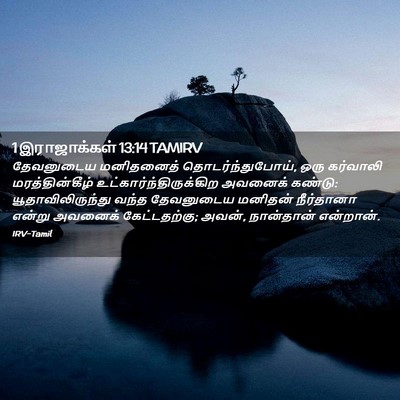 Picture 02 - 1 இராஜாக்கள் 13:14 TAMIRV - தேவனுடைய மனிதனைத் - Bible Verse Picture