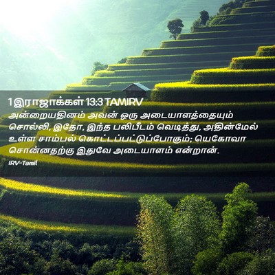 Picture 02 - 1 இராஜாக்கள் 13:3 TAMIRV - அன்றையதினம் அவன் - Bible Verse Picture