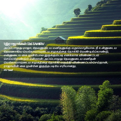 Picture 02 - 1 இராஜாக்கள் 13:6 TAMIRV - அப்பொழுது ராஜா, - Bible Verse Picture