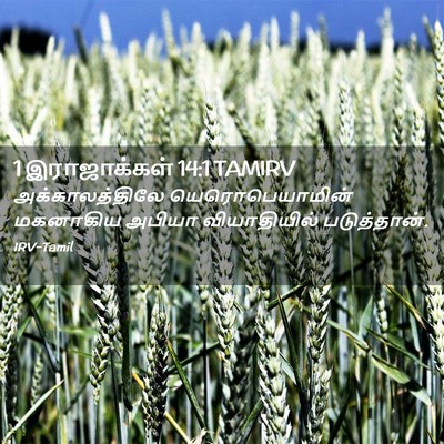 Picture 02 - 1 இராஜாக்கள் 14:1 TAMIRV - அக்காலத்திலே - Bible Verse Picture