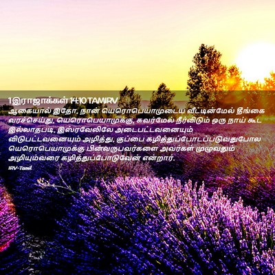 Picture 02 - 1 இராஜாக்கள் 14:10 TAMIRV - ஆகையால் இதோ, நான் - Bible Verse Picture
