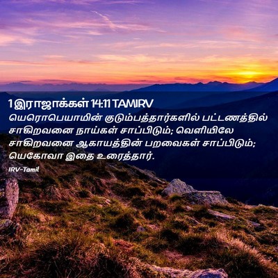 Picture 02 - 1 இராஜாக்கள் 14:11 TAMIRV - யெரொபெயாமின் - Bible Verse Picture