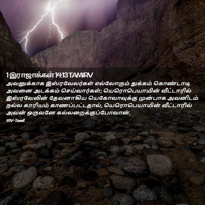 Picture 02 - 1 இராஜாக்கள் 14:13 TAMIRV - அவனுக்காக - Bible Verse Picture