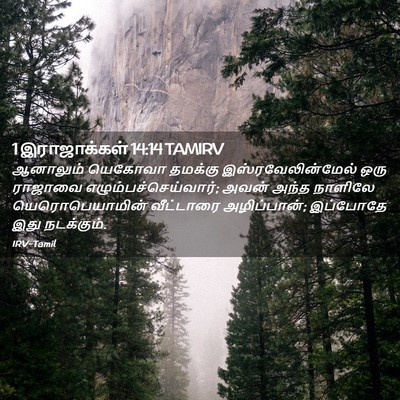 Picture 02 - 1 இராஜாக்கள் 14:14 TAMIRV - ஆனாலும் யெகோவா - Bible Verse Picture