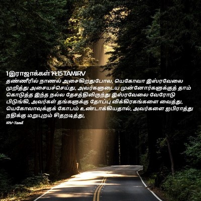 Picture 02 - 1 இராஜாக்கள் 14:15 TAMIRV - தண்ணீரில் நாணல் - Bible Verse Picture