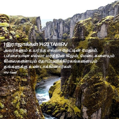 Picture 02 - 1 இராஜாக்கள் 14:23 TAMIRV - அவர்களும் உயர்ந்த - Bible Verse Picture