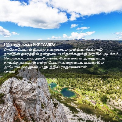 Picture 02 - 1 இராஜாக்கள் 14:31 TAMIRV - ரெகொபெயாம் இறந்து - Bible Verse Picture