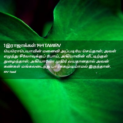 Picture 02 - 1 இராஜாக்கள் 14:4 TAMIRV - யெரொபெயாமின் - Bible Verse Picture