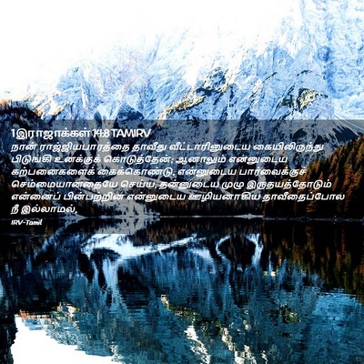 Picture 02 - 1 இராஜாக்கள் 14:8 TAMIRV - நான் - Bible Verse Picture